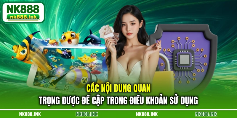 cac-noi-dung-quan-trong-duoc-de-cap-trong-dieu-khoan-su-dung