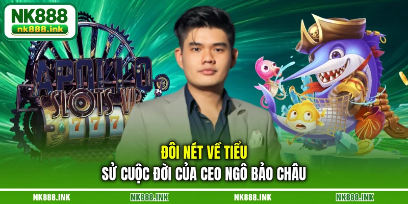 doi-net-ve-tieu-su-cuoc-doi-cua-ceo-ngo-bao-chau