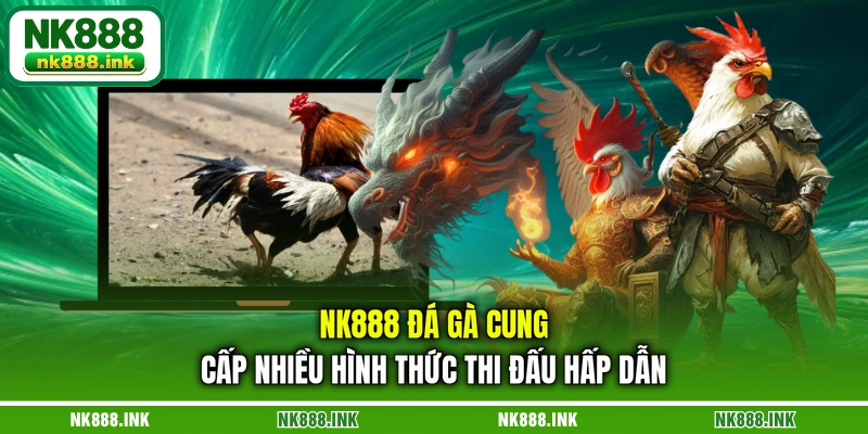 nk888-da-ga-cung-cap-nhieu-hinh-thuc-thi-dau-hap-dan