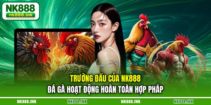 truong-dau-cua-nk888-da-ga-hoat-dong-hoan-toan-hop-phap
